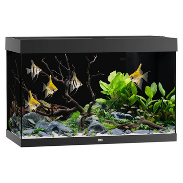Rio 290 LED Black